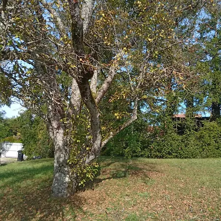 Villa Chez Marcelle Et Claude Belleville-Sur-Meuse